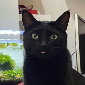 Meet your Posher, Austin